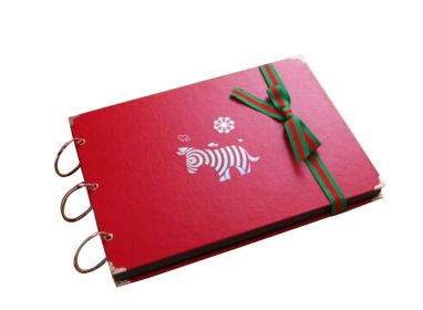 DIY Hand-paste Album Stylish Photo Album Book Best Gift 10 Inches