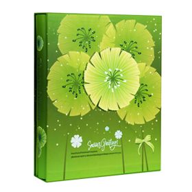 200 Pocket Photograph Book Photo/Picture Albums Embossed Design Dandelion